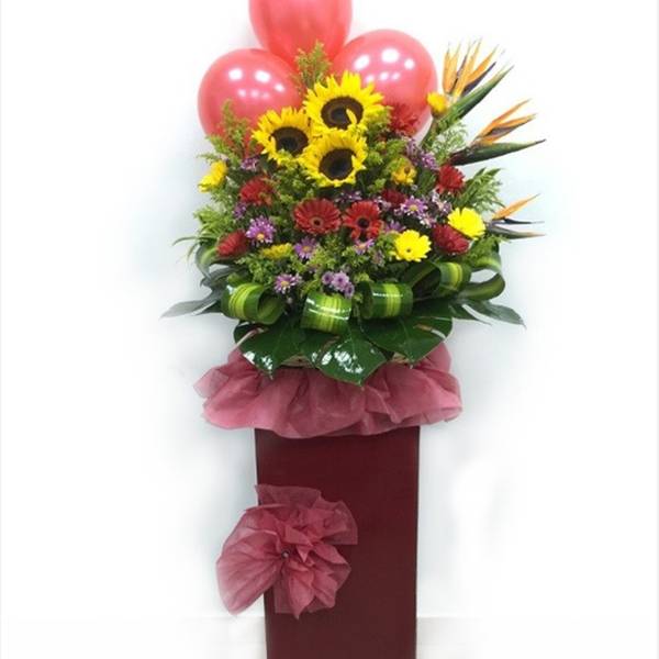 Congratulations Grand Opening Mixed Colours