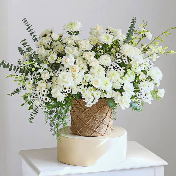 Daydreaming in White