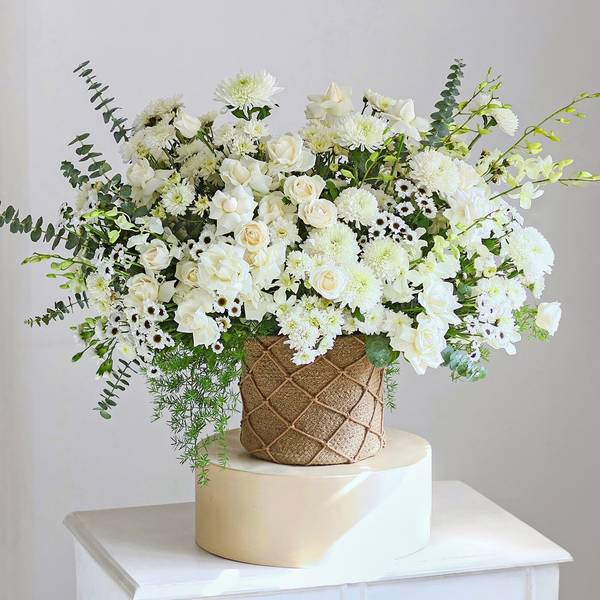 Daydreaming in White