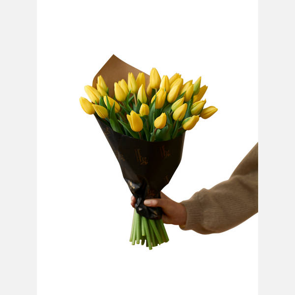 Easter Tulips 240131