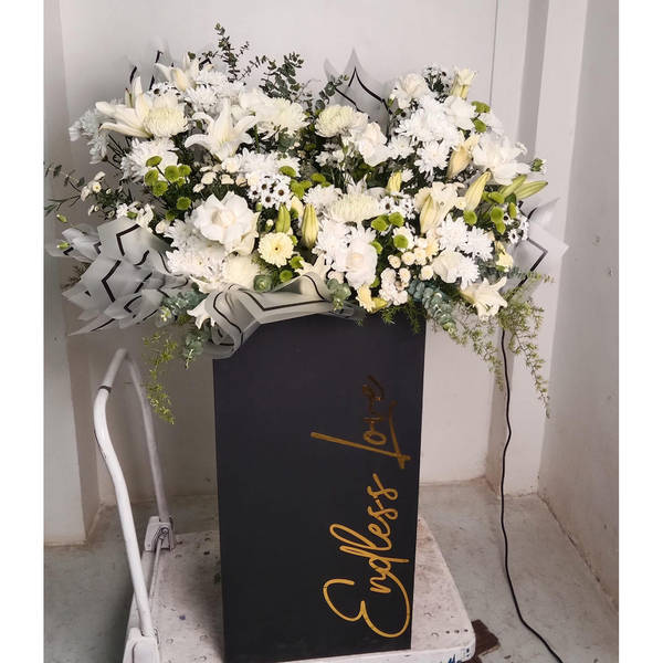 Falguni Shane Peacock - Arrangment