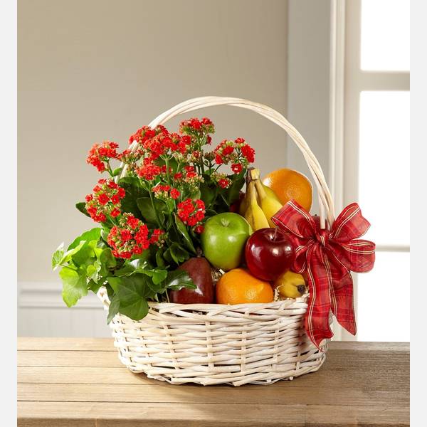 Gardens Paradise Basket