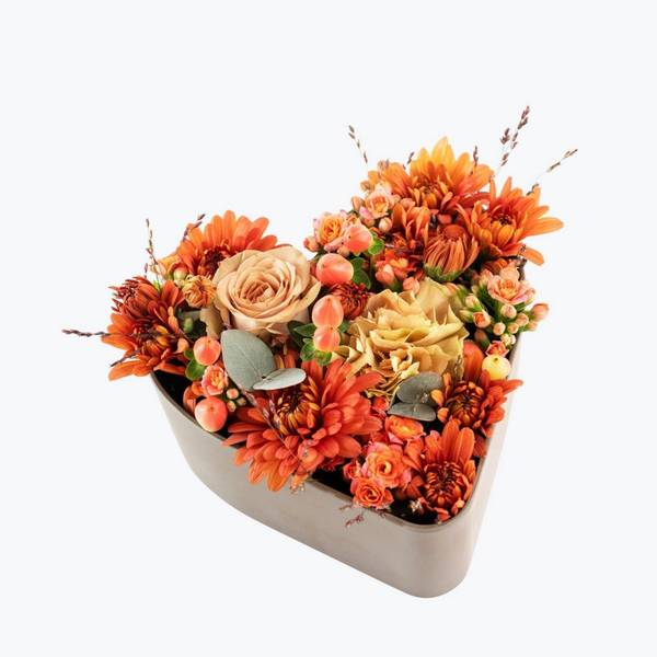 Heart of Gold 240435