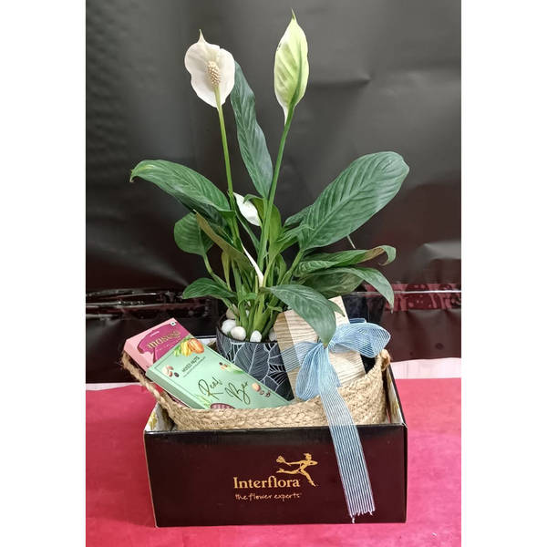 Mercedes Luxury Hamper