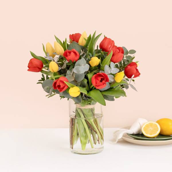 Multicoloured tulips