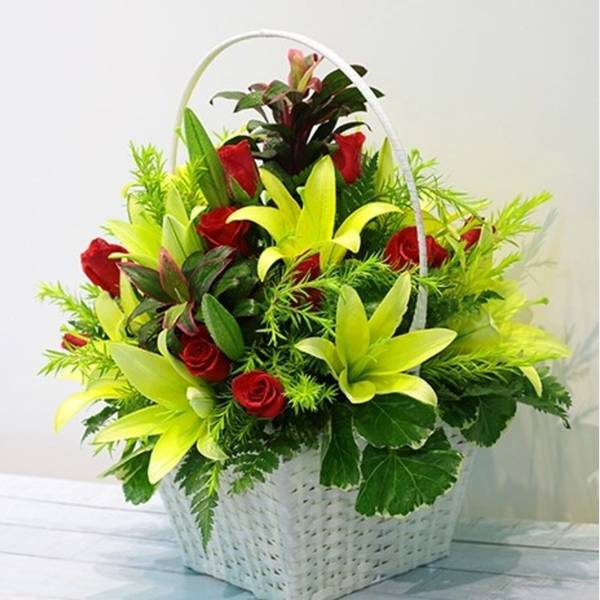 Red and Green Flowers in Basket