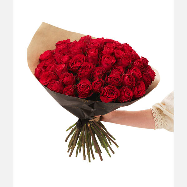Red roses 60 242687