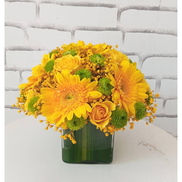 Rolex arrangement catogary D