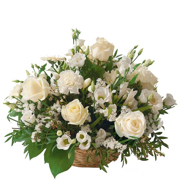 Snow White Arrangement