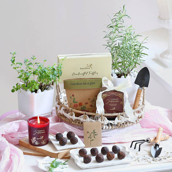 The Little Herb Garden